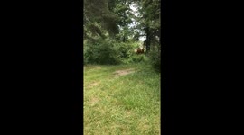 Gotta Have Nice Exhaust for All That Horse Power