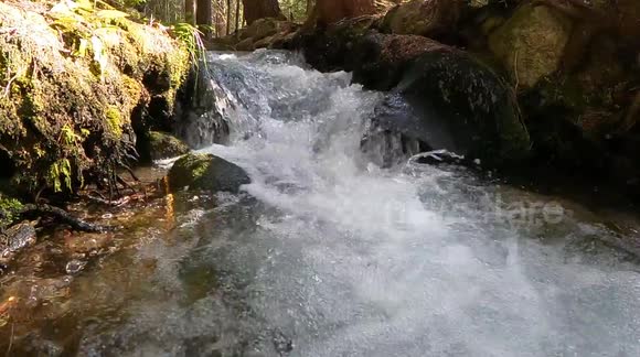 Captivating detailed footage of underwater bubbles in a crystal-clear mountain river.  beautiful real-time physics lesson. Natural river sound. No color grading or added effects – pure in-camera slow-motion.