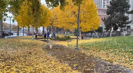 Embarcadero Plaza captured in rainy weather as atmospheric river hits San Francisco Bay Area