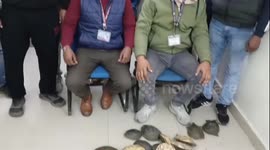 Wildlife Conservation Win: RPF Recovers 102 Live Turtles on Doon Express Train in Gaya, Northern India