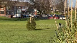 Residents left scratching heads after 50ft Xmas tree replaced with 