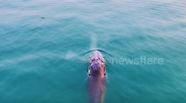 China: Resort island in south China's Guangxi draws more tourists with diverse recreational activities