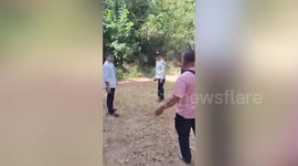 Elderly monk killed by wild elephant during alms round in northern Thailand province