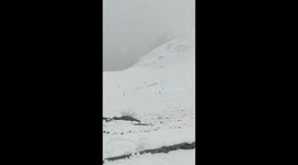 Sub-Zero Thrill: Kargil Youth Take to Snow-Covered Pitch, Play Cricket in Freezing Cold!