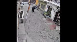 Elderly Man Injured After Provoking Stray Bull in Bulandshahr Colony