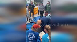 Manatee that was nursed back to health is released into coastal waters