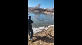 Passersby throw rubber ring to stray dog stranded in freezing lake