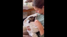 AI Video 2 For the sould