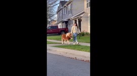 AI Video 4 The Souls