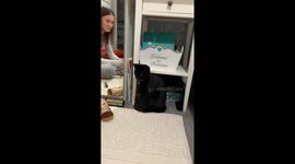 Cat hilariously reacts to tape noise during gift wrapping in Sevenoaks, UK
