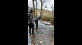 Friend slips into a shallow river while crossing on a tree trunk in Brioude, France