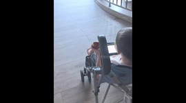 Monkey snatches bananas from children at hotel in Riviera Maya, Mexico