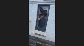 Goats playfully perch on horse in Hamilton, Scotland, UK