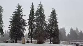 Heavy snowfall blankets Medical Lake in Washington, United States