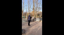 Tiger playfully chases man with stuck sword at a Henan zoo, China