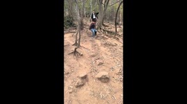 Boy slips and falls while walking downhill in Jiangsu, China
