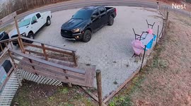 Woman Slips and Falls on Icy Ramp