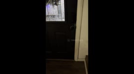 Dog Learns to Open Front Door and Goat Walks Inside