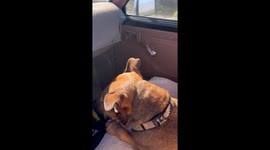 Speedometer on the Fritz