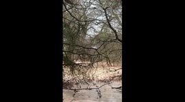 UK: Huge Sinkhole Swallows Boats in Shropshire Canal Breach, More Than 10 Rescued