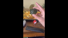 Small turtle swims like floating island in Austin, Texas, USA