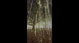 US: Nights of Thousand Candles Lights Up Brookgreen Gardens in South Carolina