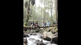 Friends fall into stream after tree trunk breaks in Sumedang, Indonesia