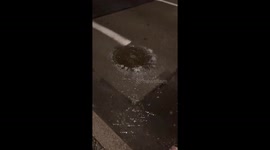 France: Hérault Under Red Alert After Days of Intense Rainfall