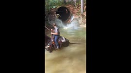 Horse Dives Into Deep Creek With Rider