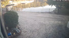 Girls' Golf Cart Joyride Goes Wrong