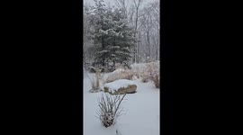 US: Fast-Moving Clipper System Brings Snow to New Jersey