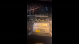 Dalmatian dog spotted sitting in parked car surprises driver in Japan
