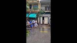 Neighbors in Vietnam join forces to lift a storm-damaged tree back into an upright position.