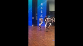 Dancing robots nearly start a fight mid-performance in China