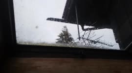 Holiday Havoc: Snowstorm Unleashes Fury on Christmas Eve Travelers