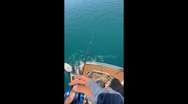 Fishing using light jigging technique