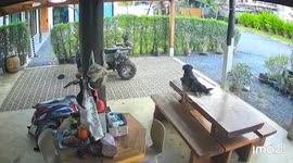 Rockets fired across border by Cambodia hit family's home 'in war crime'