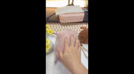 Owner massages Chinese hedgehog’s round belly