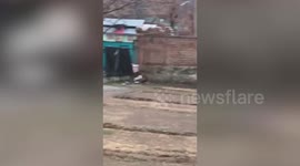 Leopard triggers panic inside army camp, injuring one during breakfast hours