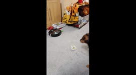 christmas day no pressys for the dog left at home do let him chase my new hoover