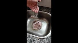 Hedgehog enjoys bath and swim in China