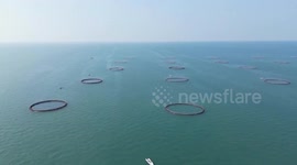 China: China accelerates rollout of marine economy application scenarios