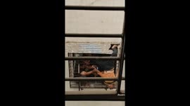 Sleeping Man Falls From 10th Floor in Surat, Survives After Leg Gets Stuck in Grille