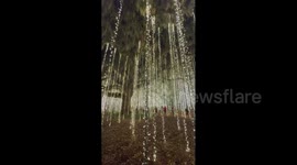 US: Millions of Lights Illuminate Brookgreen Gardens for the Holidays