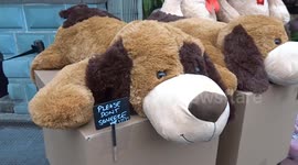 Please Don't Squeeze Me pleads Teddy Bear at iconic Michelin House in South Kensington - London