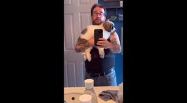 Twelve‑month Cane Corso growth journey goes viral