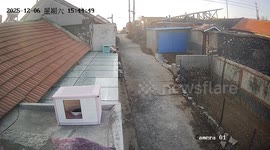 Two cats tumble off rooftop during playful fight in Shandong, China