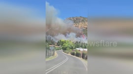 Chile: Forest Fire Develops Near Homes In Pichidegua On Christmas Day