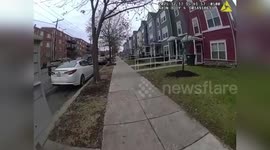 US: Pitbull Shot At By DC Officer After Attacking Child