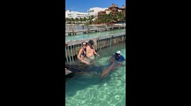 Shark Gets Offended After Woman Refuses a Kiss